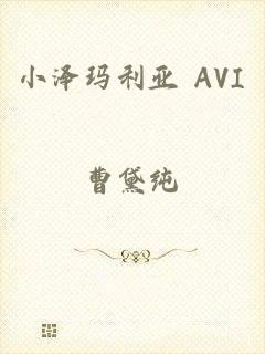 小泽玛利亚 AVI